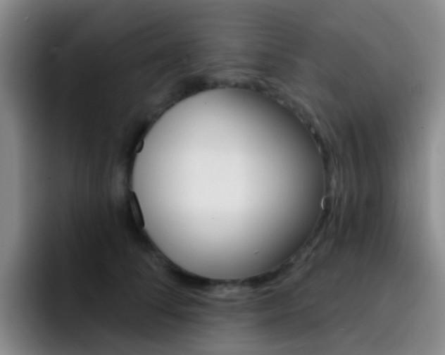 X0000093110708200709260946