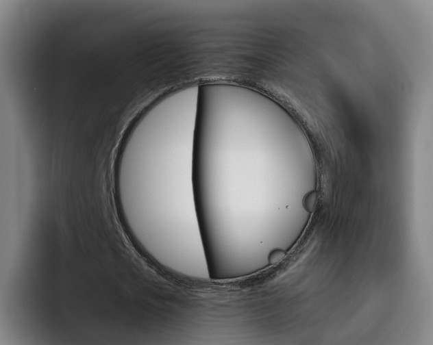 X0000093110721200709260945