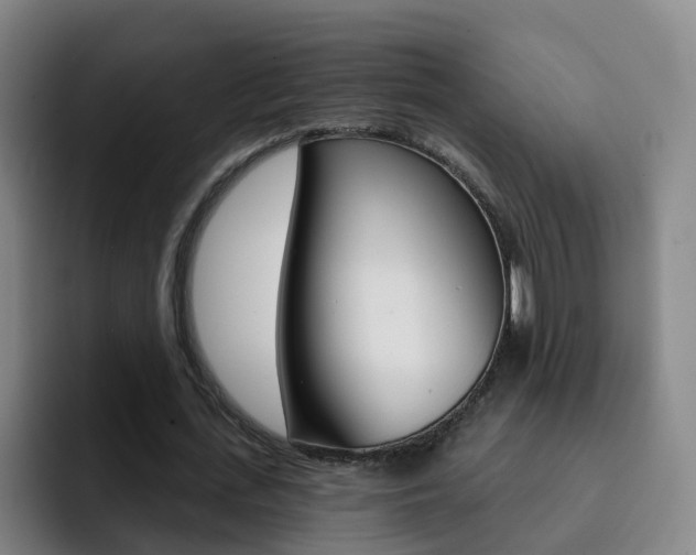 X0000093110723200709260945