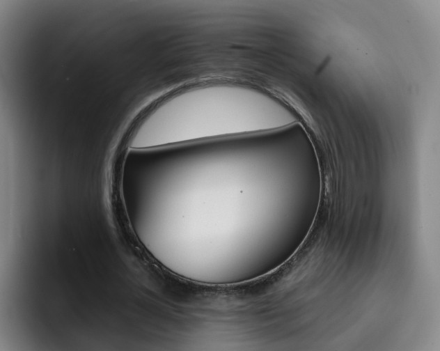 X0000093110724200709260945