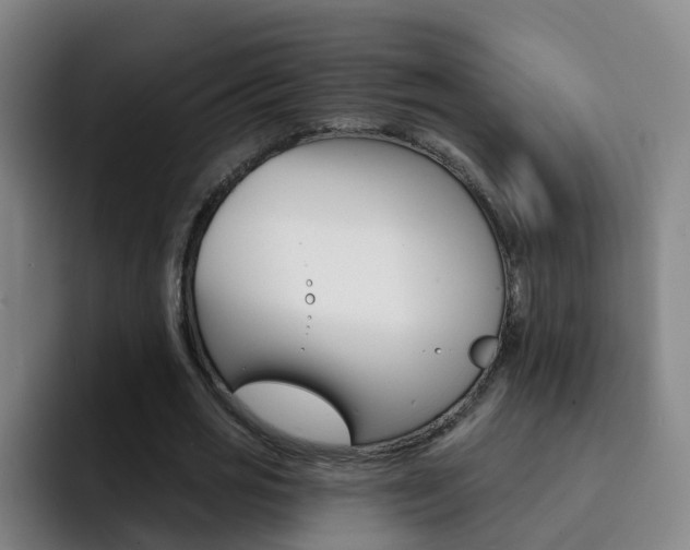X0000093110725200709260945