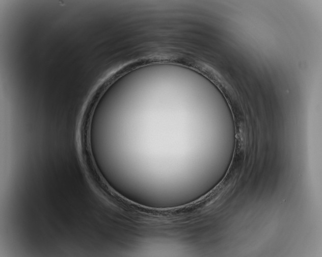 X0000093110726200709260945