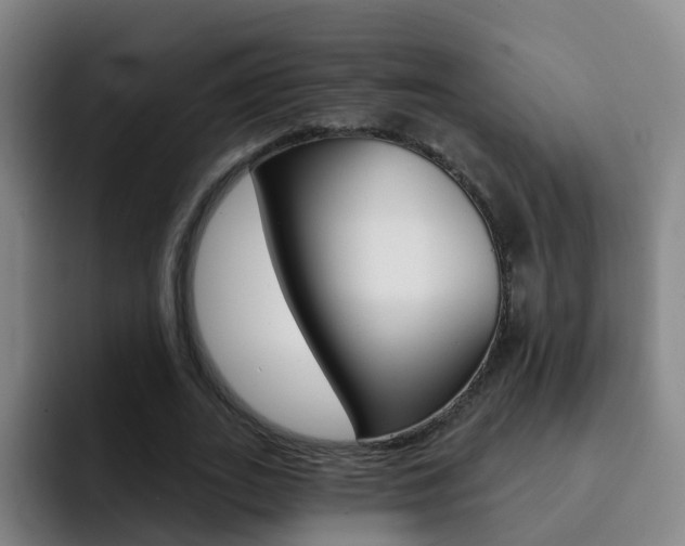 X0000093110727200709260945