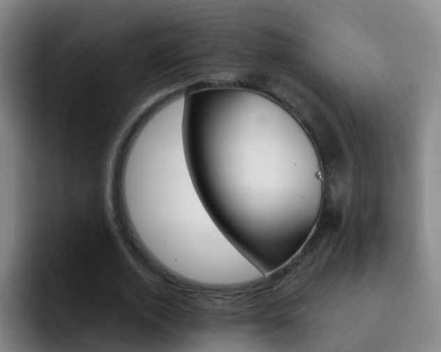 X0000093110728200709260945