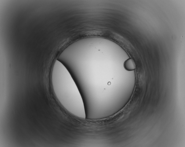 X0000093110729200709260945