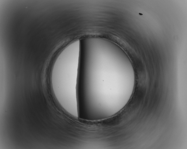 X0000093110731200709260945