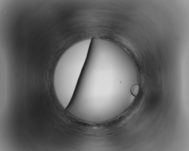X0000093110737200709260945