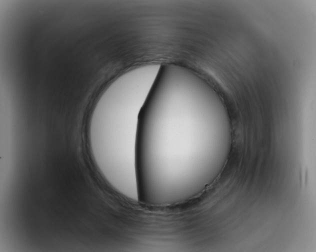 X0000093110738200709260945