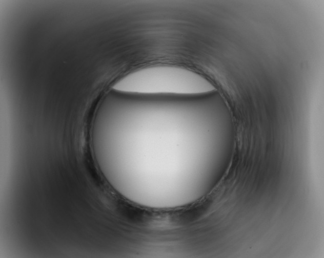 X0000093110740200709260945