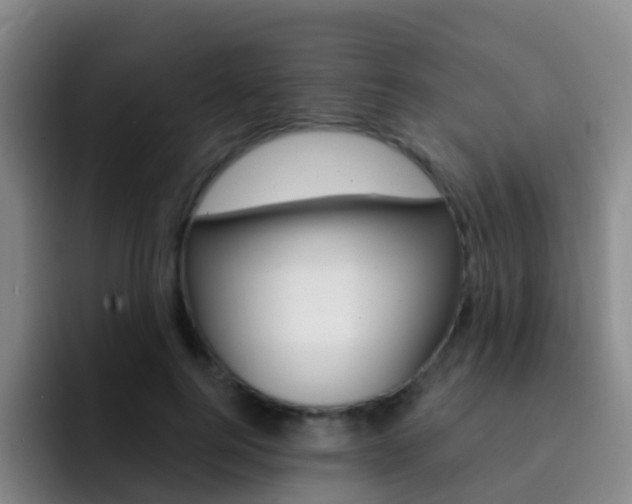 X0000093110744200709260945