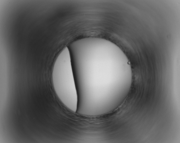 X0000093110745200709260945