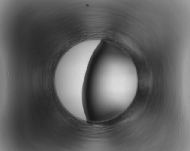 X0000093110748200709260945