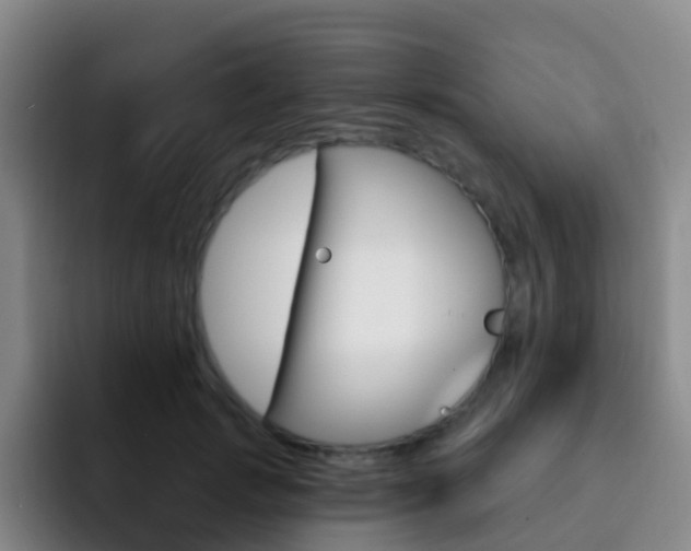 X0000093110749200709260945