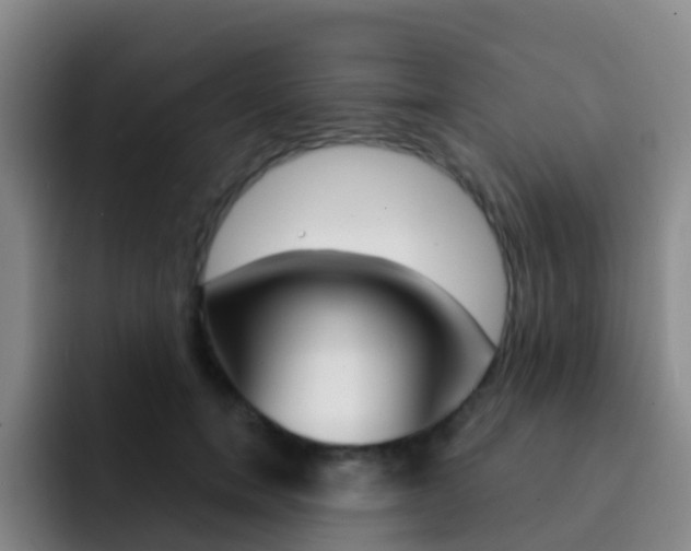 X0000093110750200709260945