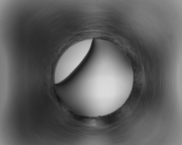 X0000093110755200709260945