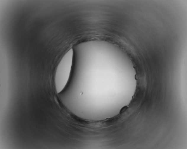 X0000093110757200709260945