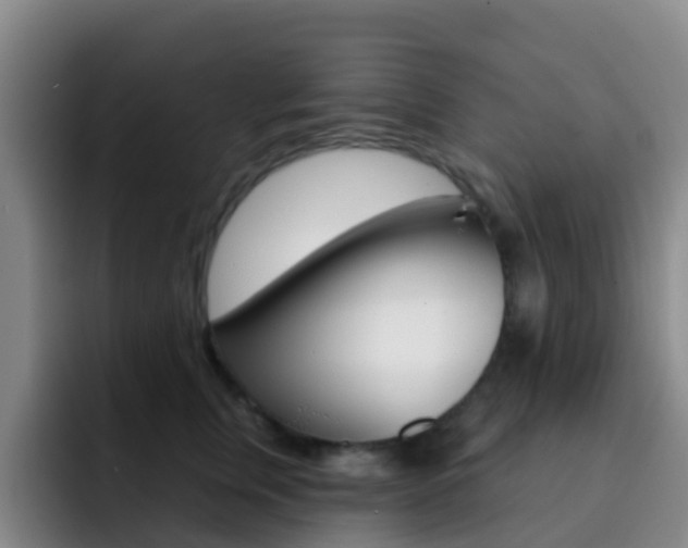 X0000093110759200709260945