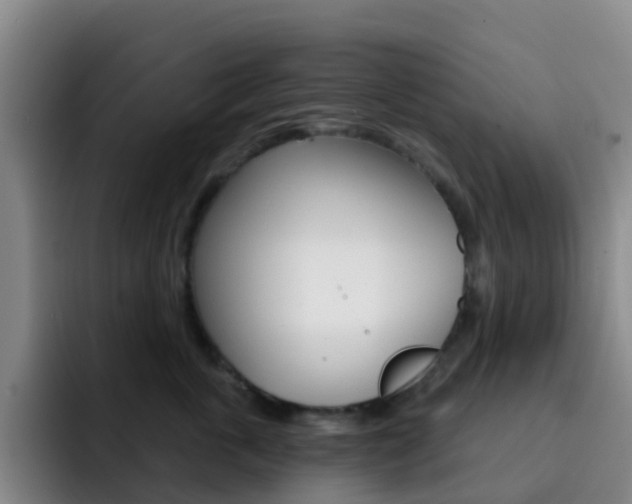 X0000093110763200709260945