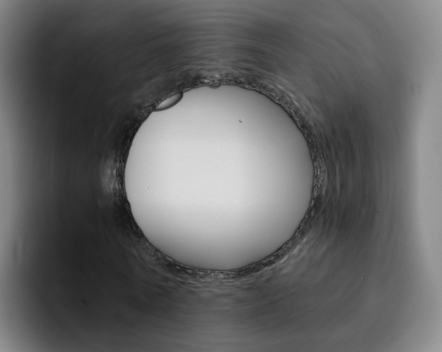 X0000093110770200709260945