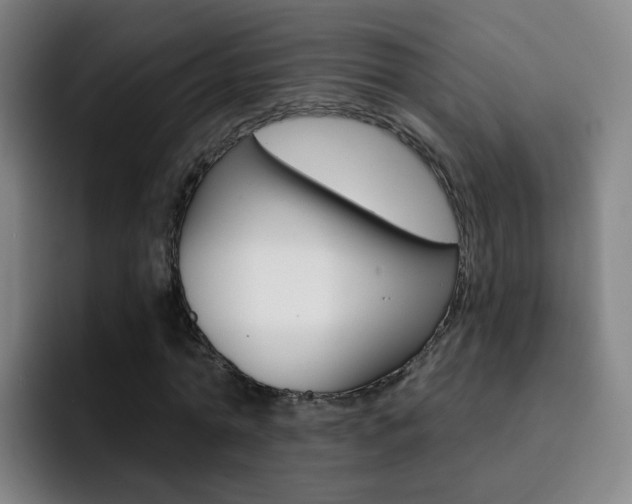 X0000093110774200709260945