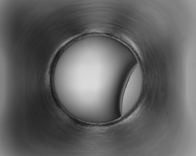 X0000093110779200709260945