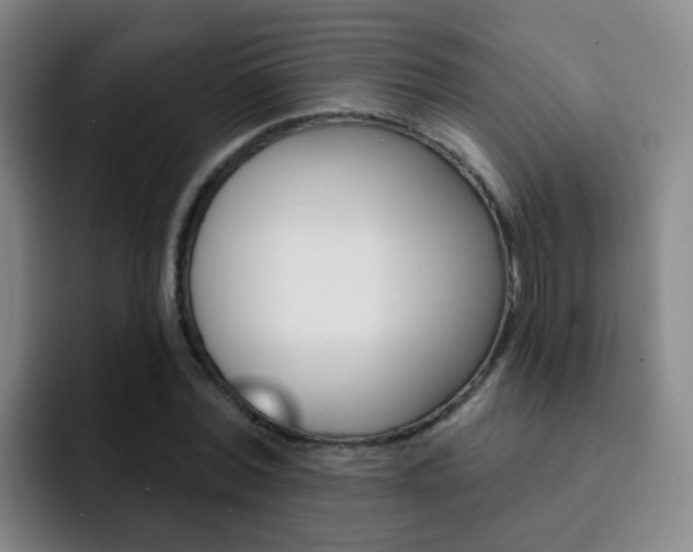 X0000093110780200709260945