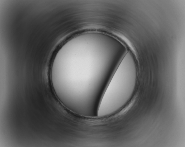 X0000093110783200709260945