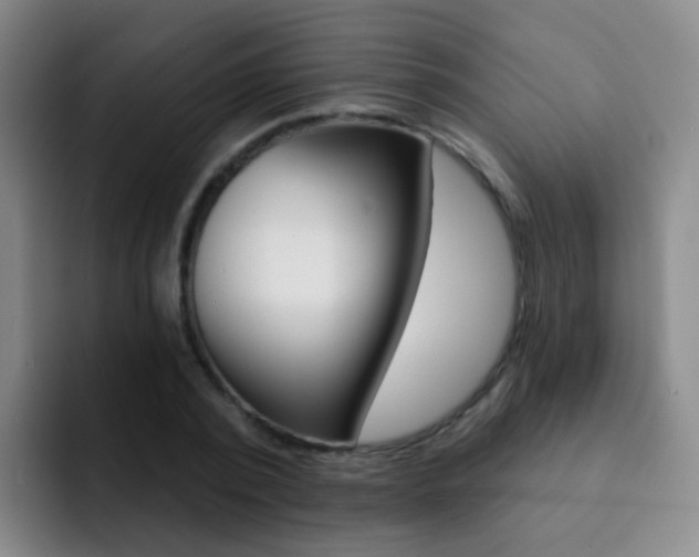 X0000093110784200709260945