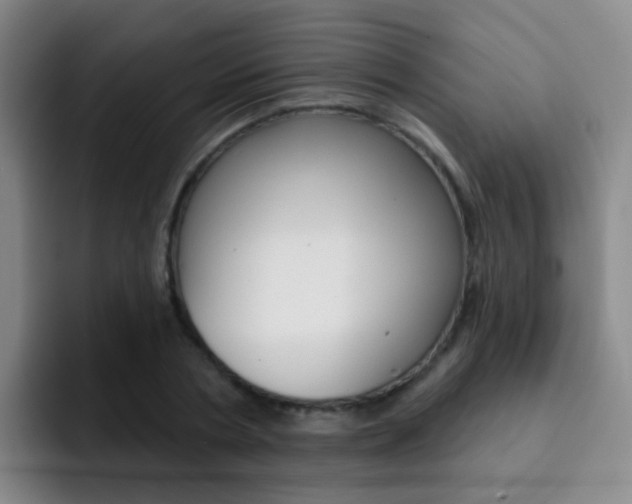 X0000093110786200709260945