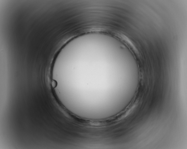 X0000093110794200709260945