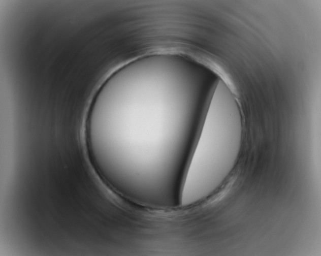 X0000093110803200709260944