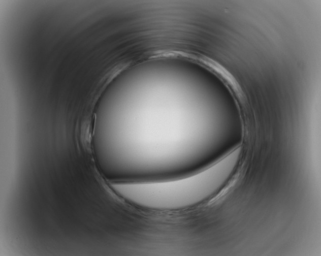 X0000093110809200709260944