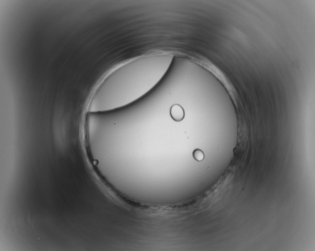 X0000093110811200709260944