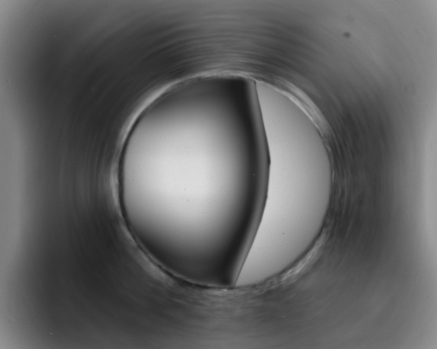 X0000093110812200709260944