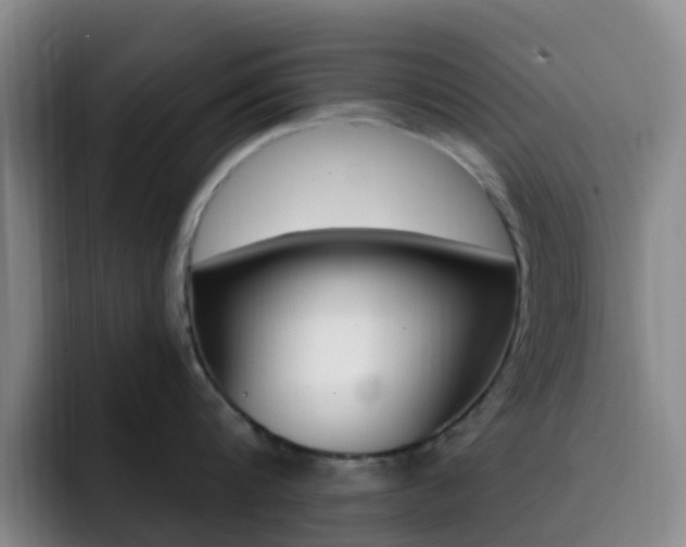 X0000093110816200709260944