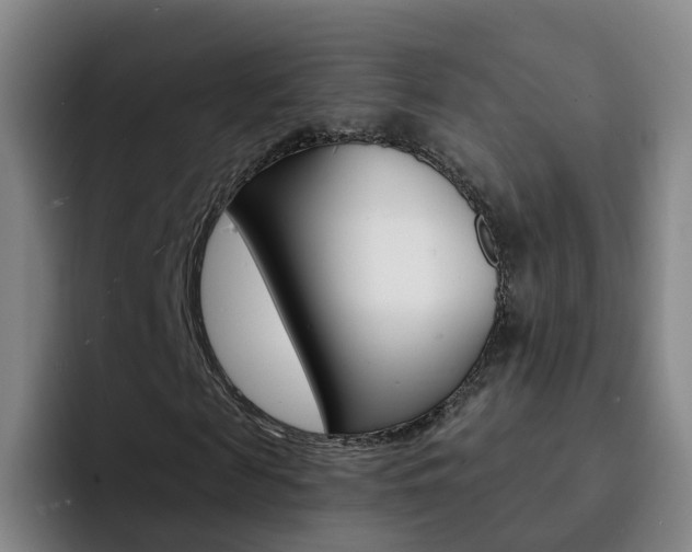 X0000093110817200709260944