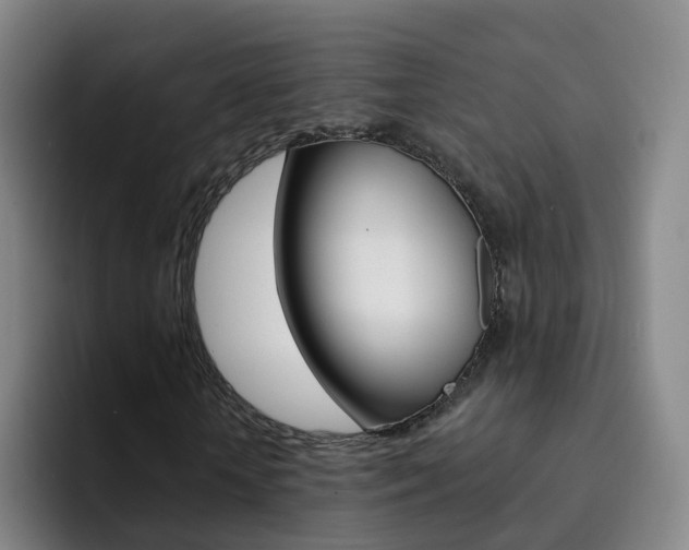 X0000093110818200709260944