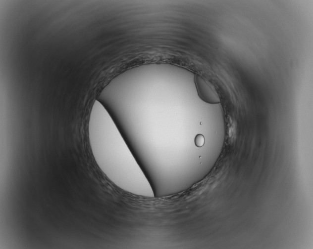 X0000093110819200709260944