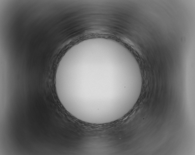 X0000093110822200709260944