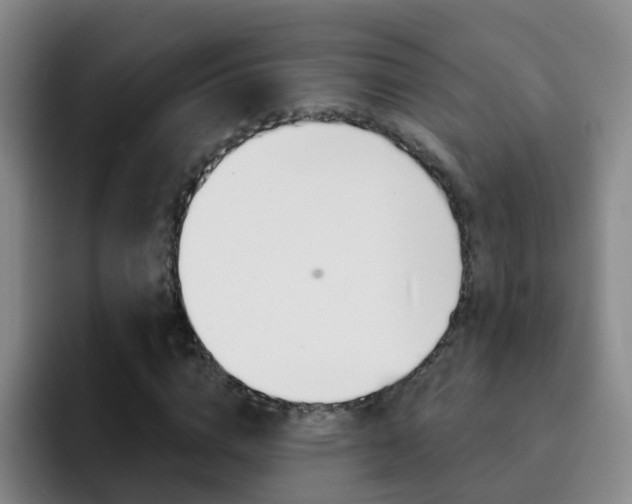 X0000093110824200709260944