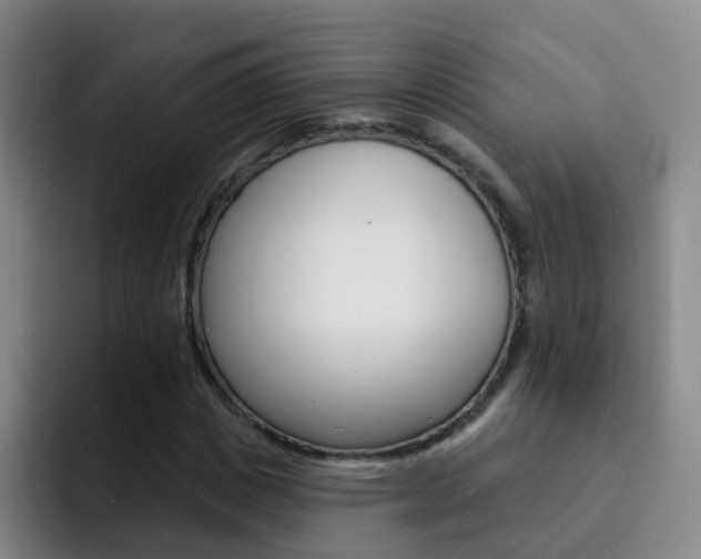 X0000093110825200709260944