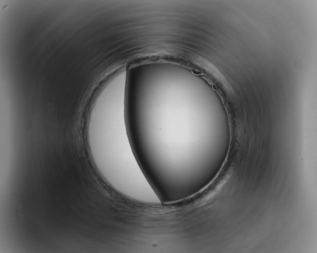 X0000093110826200709260944