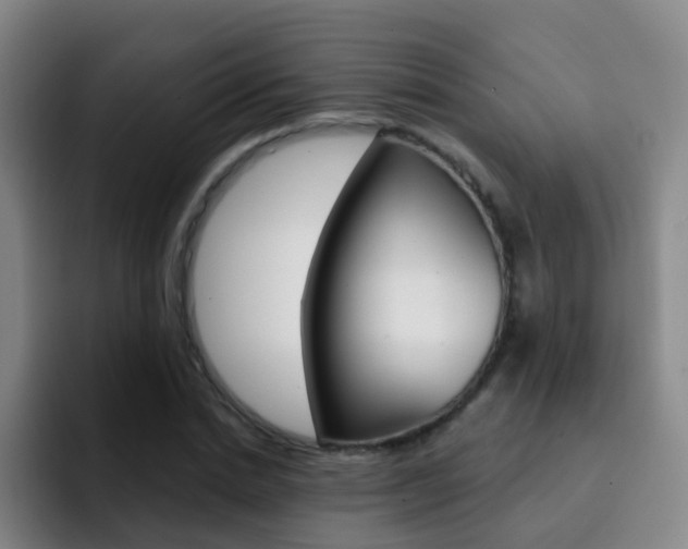 X0000093110830200709260944