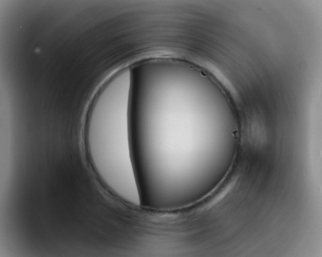 X0000093110837200709260944