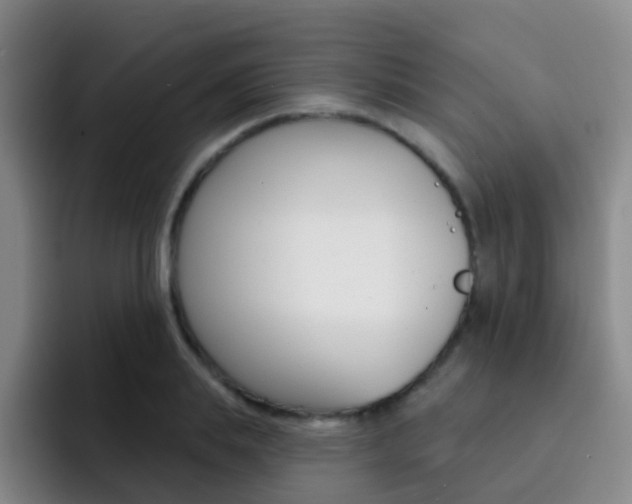 X0000093110839200709260944
