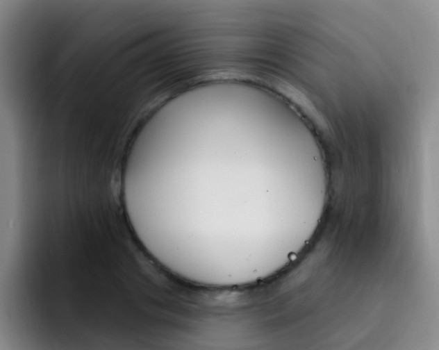 X0000093110841200709260944