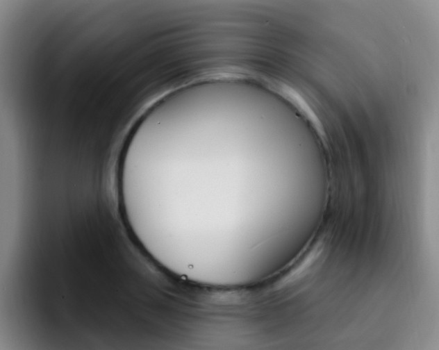 X0000093110843200709260944