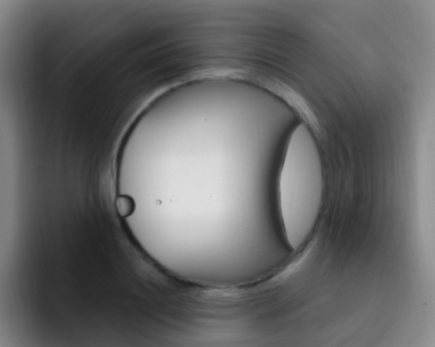 X0000093110844200709260944