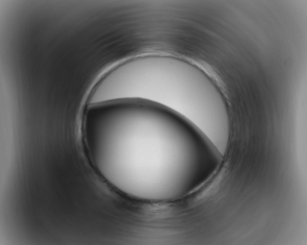 X0000093110846200709260944