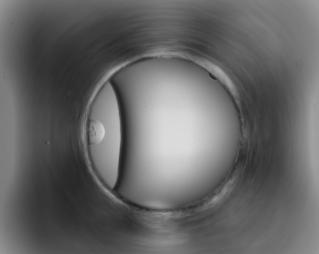 X0000093110855200709260944